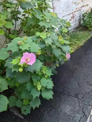 勝巖院(京都府)