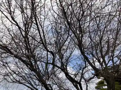 福昌寺(神奈川県)