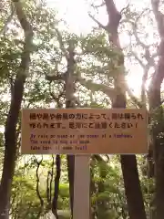 伊豆山神社の建物その他