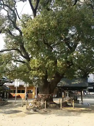 大聖観音寺（あびこ観音）の自然