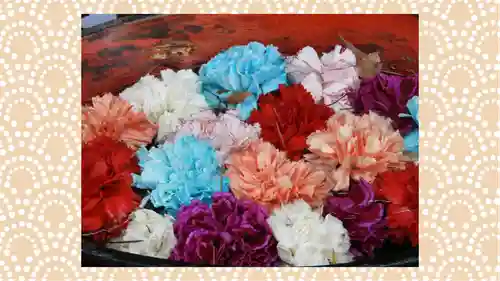 草加神社(埼玉県)