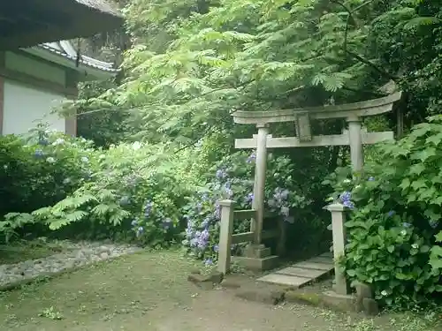 杉本寺の鳥居