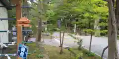 上川神社の建物その他