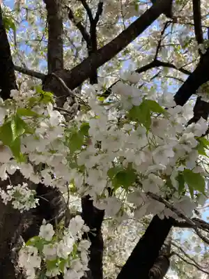 池上本門寺(東京都)