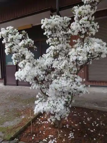 倭文神社の自然