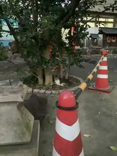 天王坊稲荷神社の動物