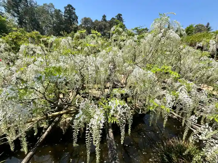 歌泉堂(春日大社神苑萬葉植物園内鎮座)(奈良県)