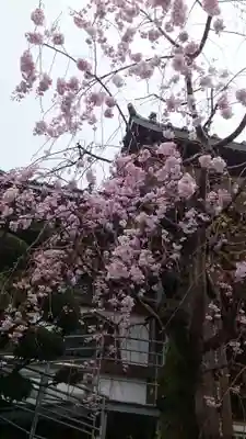 法蓮寺(東京都)
