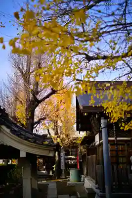 飛木稲荷神社(東京都)