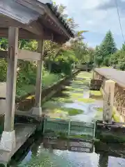 小烏神社(福井県)