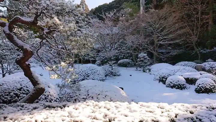 雲龍院(京都府)