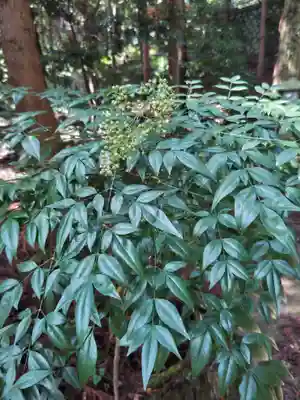 鹿島大神宮(福島県)