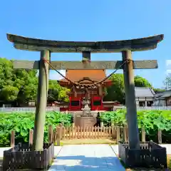 伊賀八幡宮(愛知県)