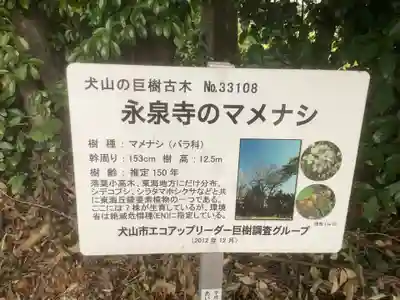 永泉寺(愛知県)