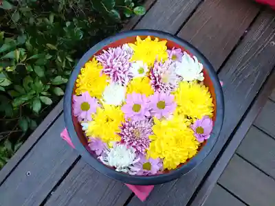 増上寺塔頭 三縁山 宝珠院(東京都)