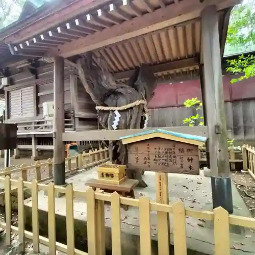 鶴嶺八幡宮(神奈川県)