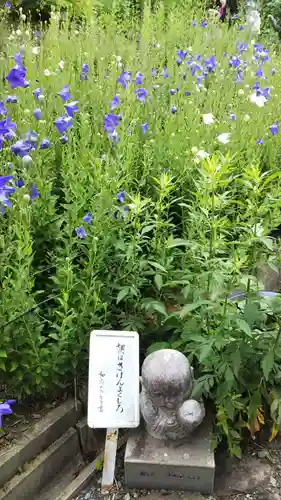 香勝寺の庭園