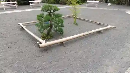 常陸第三宮　吉田神社の庭園