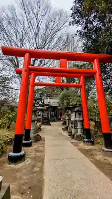 厳嶋神社の鳥居