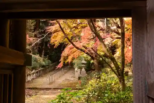柞原八幡宮(大分県)