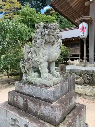 宝満宮竈門神社の狛犬