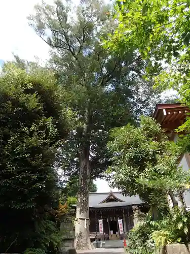 青渭神社の自然