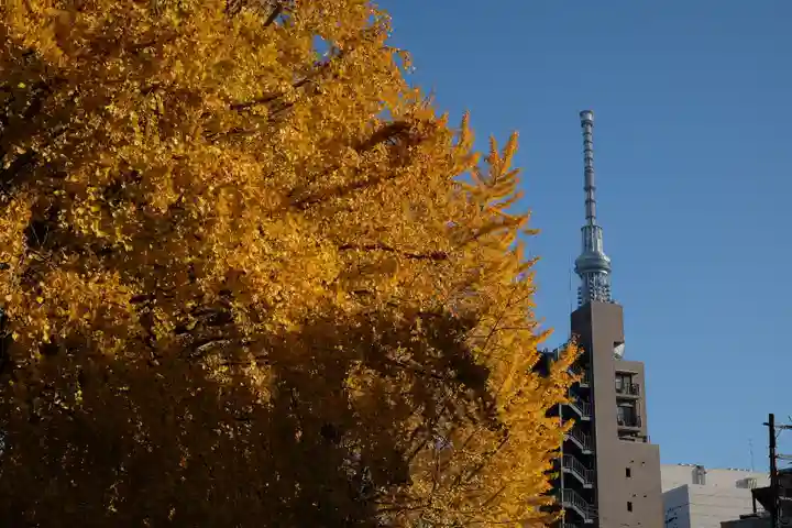 今戸神社(東京都)