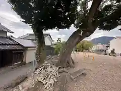 大坂山口神社(逢坂)(奈良県)