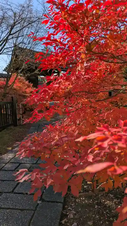 法金剛院(京都府)
