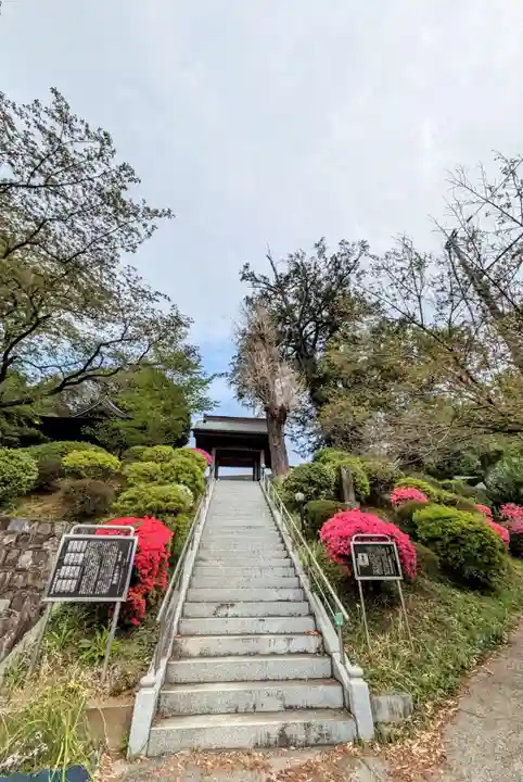 宝泉寺(東京都)