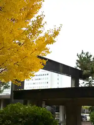 福井神社(福井県)