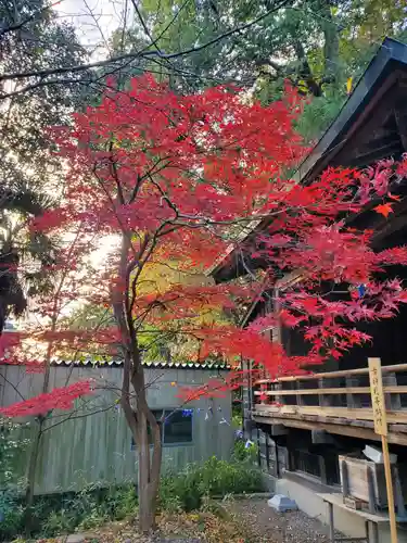星宮神社(栃木県)