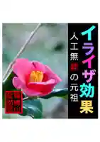 耕田院(山形県)