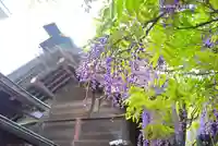 國領神社の本殿・本堂