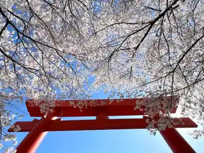子檀嶺神社の鳥居