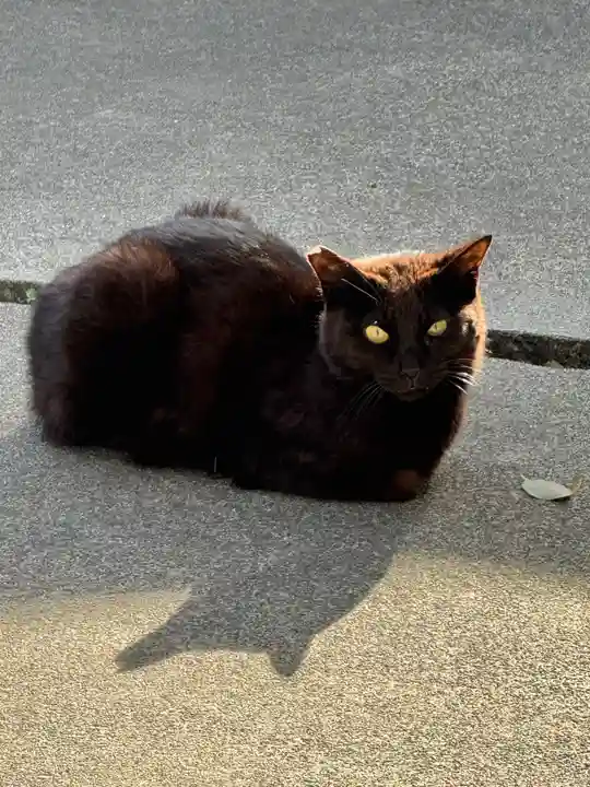 若宮八幡社(愛知県)
