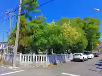 八幡社(廻間八幡社)の自然