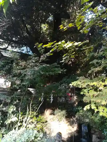 東京大神宮のその他建物