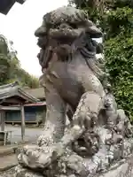 久保神社の狛犬
