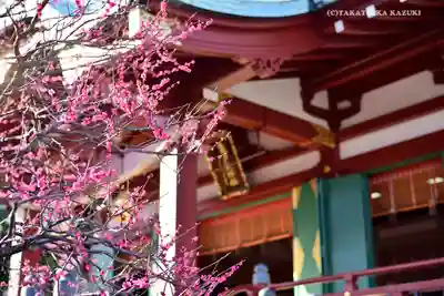 亀戸天神社の本殿・本堂