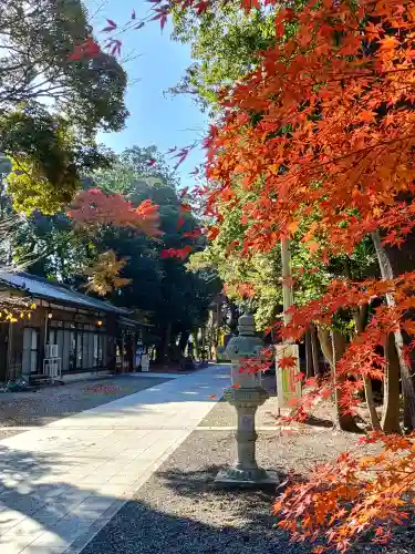 諏訪八幡神社の庭園