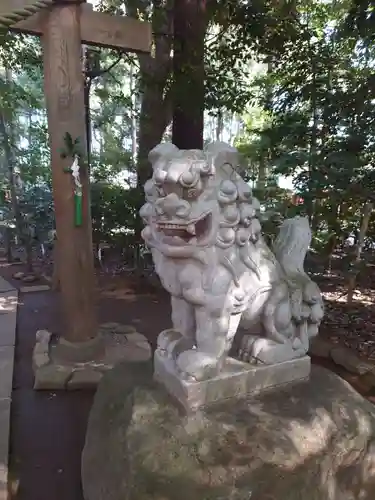 駒木諏訪神社の狛犬