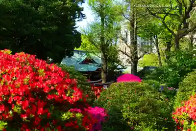 根津神社(東京都)