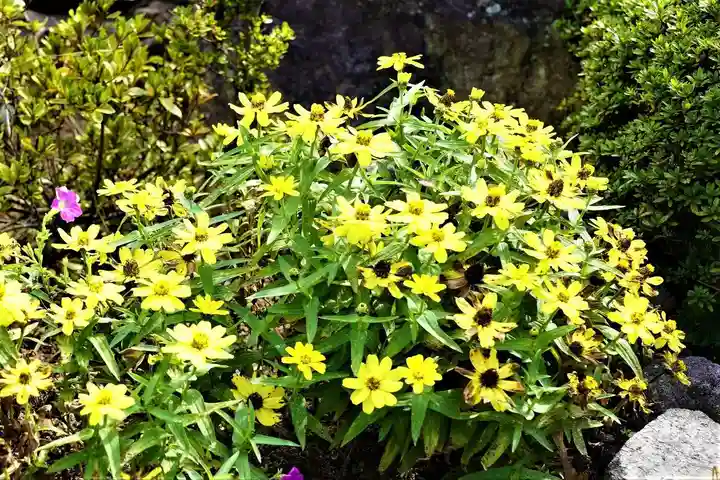 大鏑神社の庭園