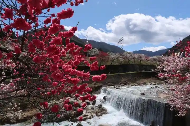 東円寺(岐阜県)