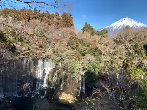 熊野神社の自然