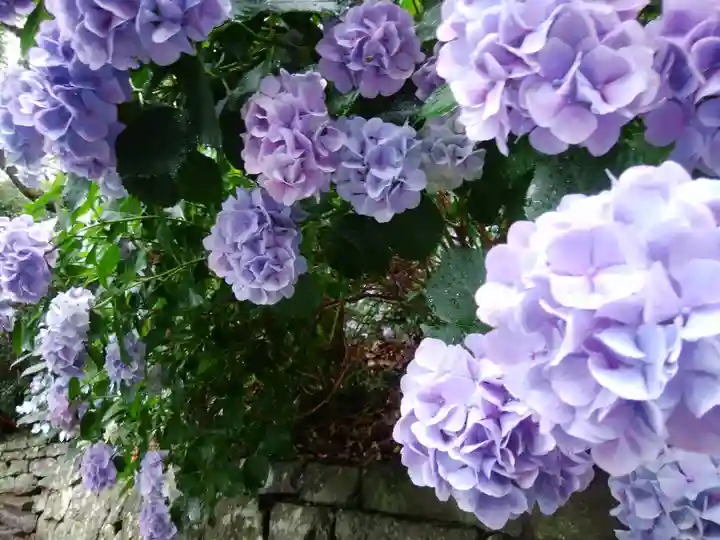 久能山東照宮(静岡県)