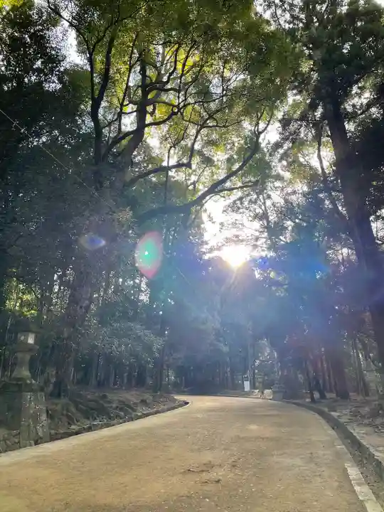 春日大社(奈良県)