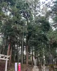 大宮温泉神社の建物その他