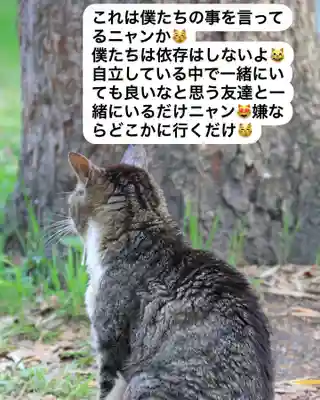 専念寺(大阪府)